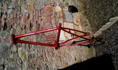 IMAG0504.jpg