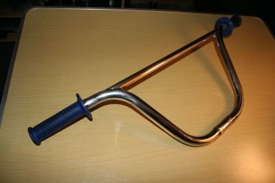 guidonMongoose2.jpg