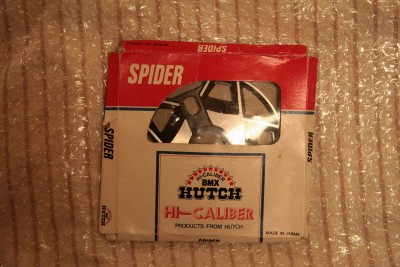 spider1.jpg