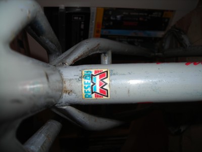 DSCN5904.JPG