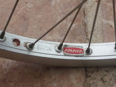 Araya 1.jpg